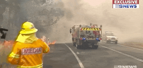 悉尼遭浓雾锁城，空气污染比北京严重！新州90处山火失控，350只考拉或被活活烧死！（组图） - 63