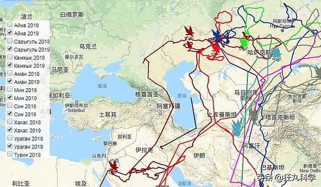 一只鹰靠发短信把俄罗斯科研团队搞破产，科学家：我太难了