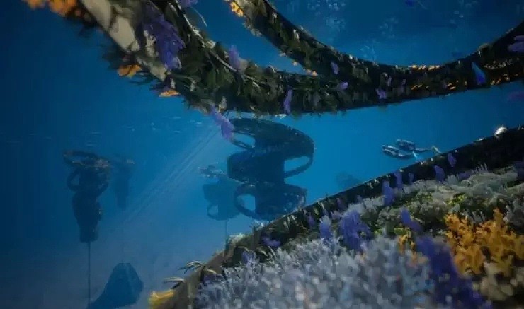 潜水爱好者福音！黄金海岸将建世界第一个“浮礁”景点：除了吸引游客之外，我们还要吸引鱼群 - 5