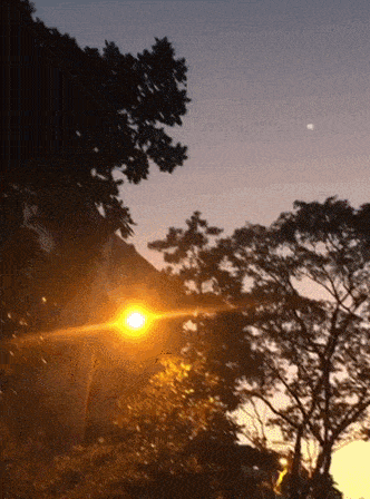 女子拍夕阳拍到不明飞行物！爸爸兴奋大喊：UFO！时隔9年，来了！（组图） - 2