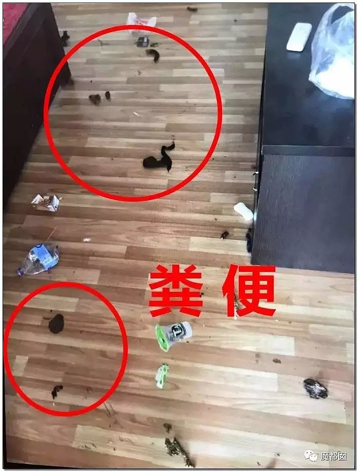 经血、粪便、垃圾…美丽少女把酒店弄到恶心作呕！到底为何？（组图） - 86