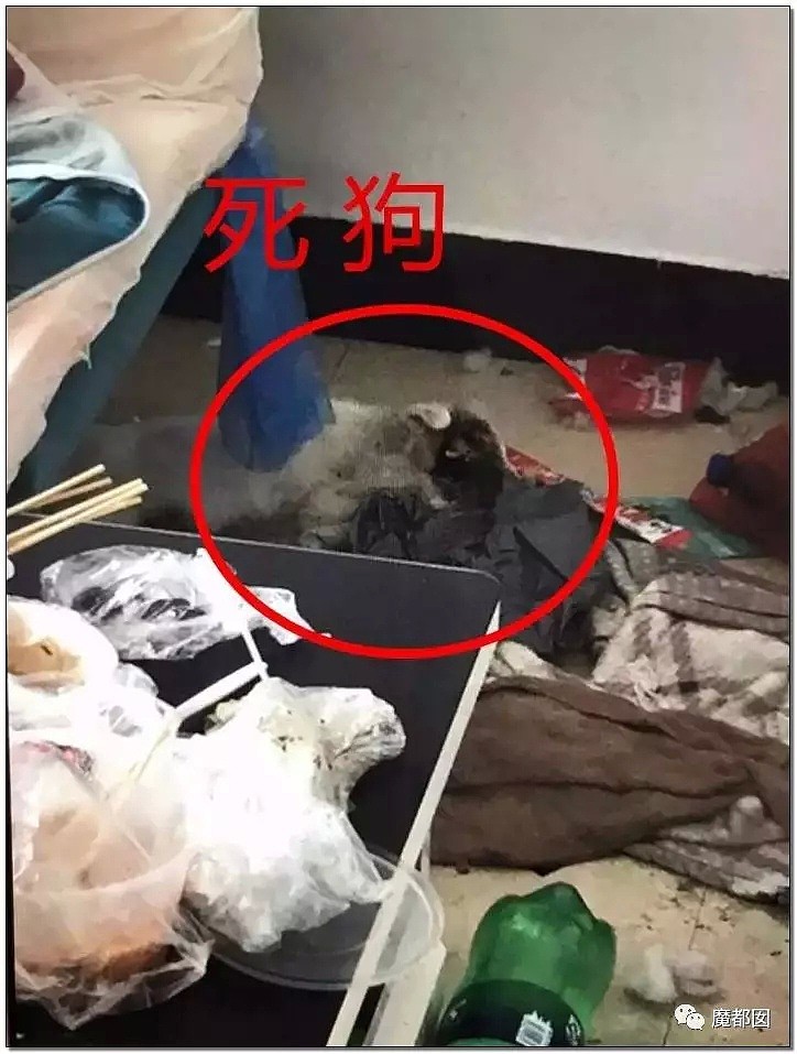 经血、粪便、垃圾…美丽少女把酒店弄到恶心作呕！到底为何？（组图） - 87