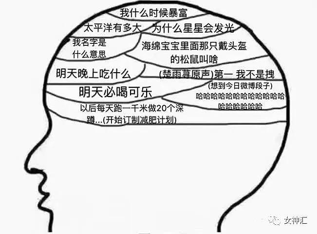 【爆笑】网红为了拍照有多拼？网友：我的眼界又一次被刷新哈哈哈哈哈（组图/视频） - 13