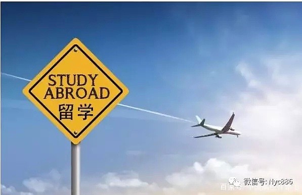 吵翻了！中国学生60万打了水漂、留学两年回国重新高考...（组图） - 1