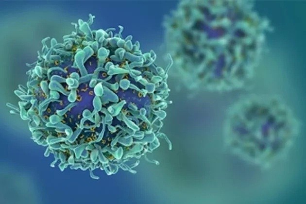 澳洲再创医学新突破！纳米颗粒助力识别早期肿瘤，大大提升存活率！ - 1