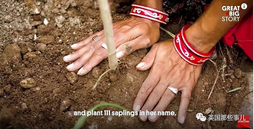 在这印度小村，每出生一个女婴，村里就为她种上111棵树，从此一切都变了（组图） - 2