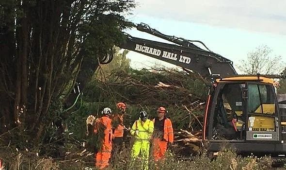 英国一夜锯倒墓地隔离树林，对面居民推开窗眼前有上万座坟墓愣住