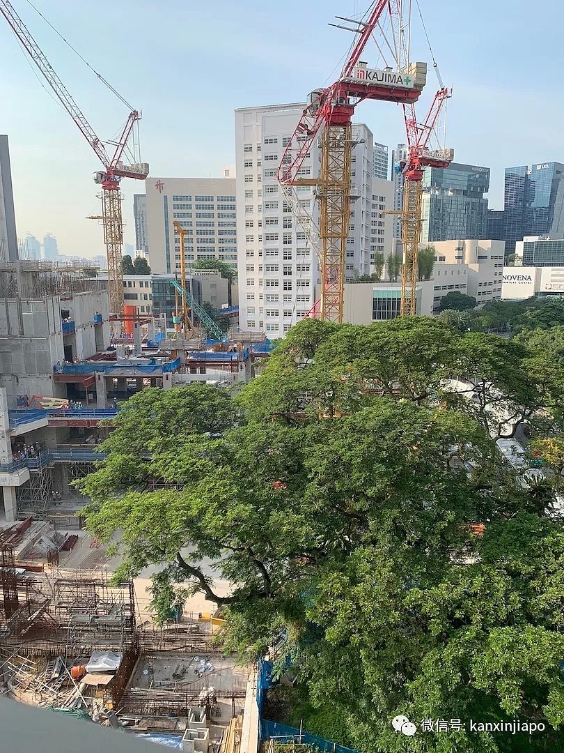 新加坡工地10层楼高塔吊坍塌致死！目击者爆料（组图） - 4