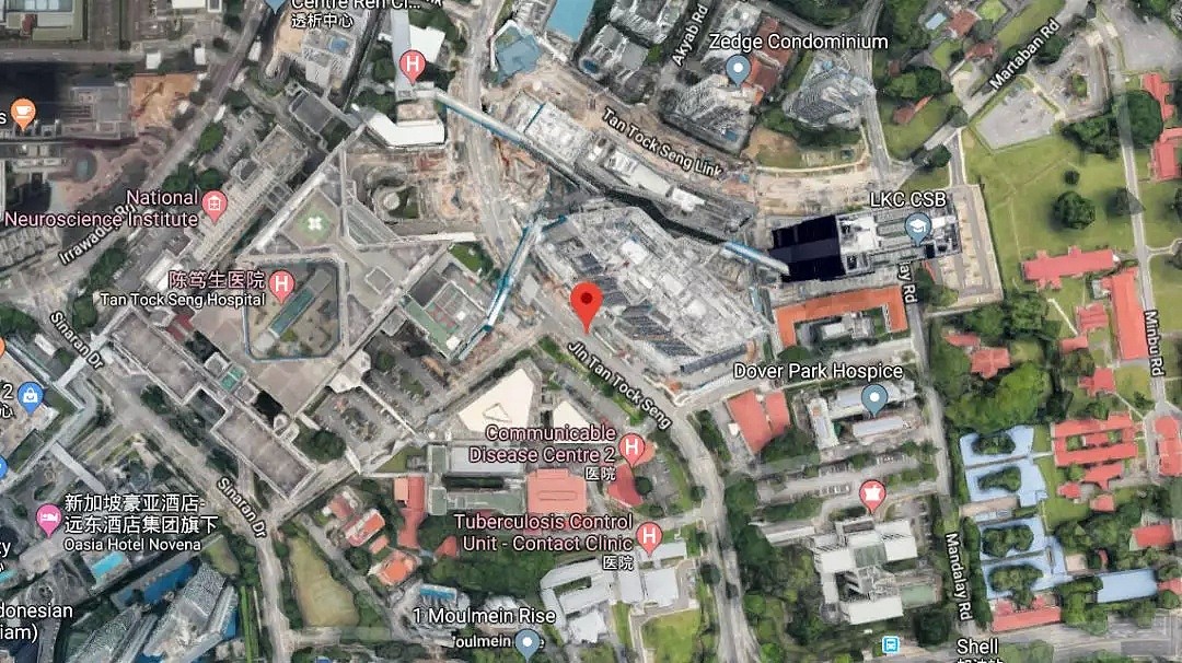 新加坡工地10层楼高塔吊坍塌致死！目击者爆料（组图） - 6
