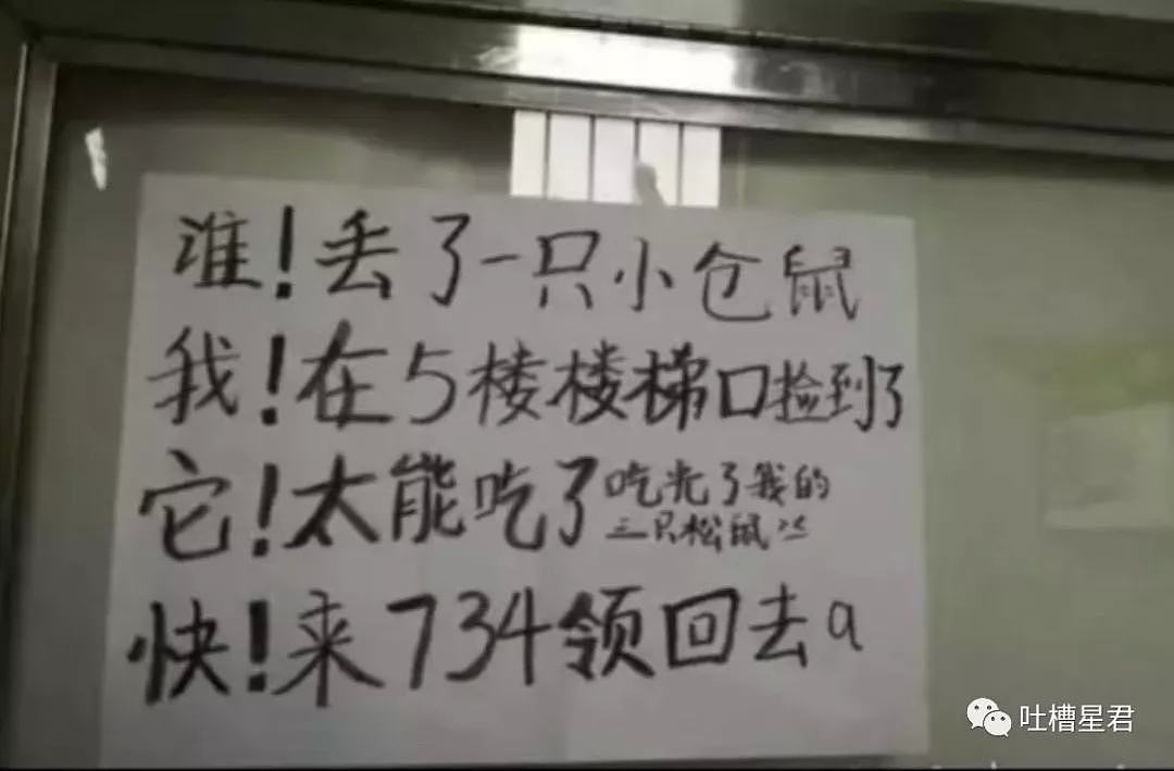 【爆笑】“能投降吗？朋友发现我媳妇去宾馆了！”和游戏队友聊天截图太迷惑了哈哈哈哈！（组图） - 34