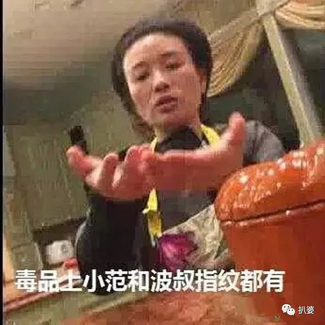 2019年度最沙雕八卦出炉！周立波主动验毒，结果成功锤死了自己...（组图） - 13