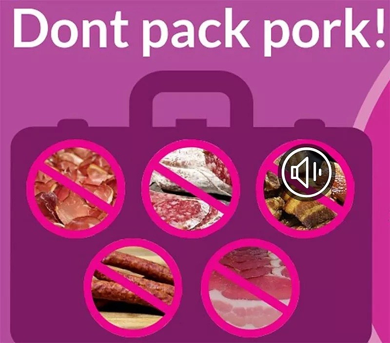携4公斤猪肉月饼“闯关”，悉尼男抵澳即被取消签证！随即遣返（组图） - 22