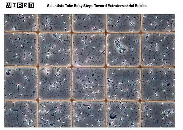 将人类精子送上太空，“上天造人”真的可以实现吗？