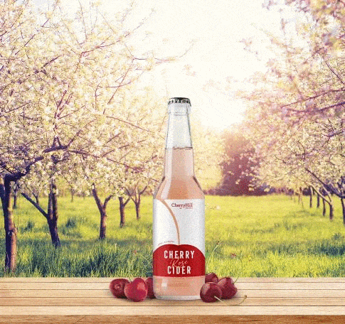 樱桃季即将到来！墨尔本周边6大樱桃农场亲子游攻略准备好了 - 7