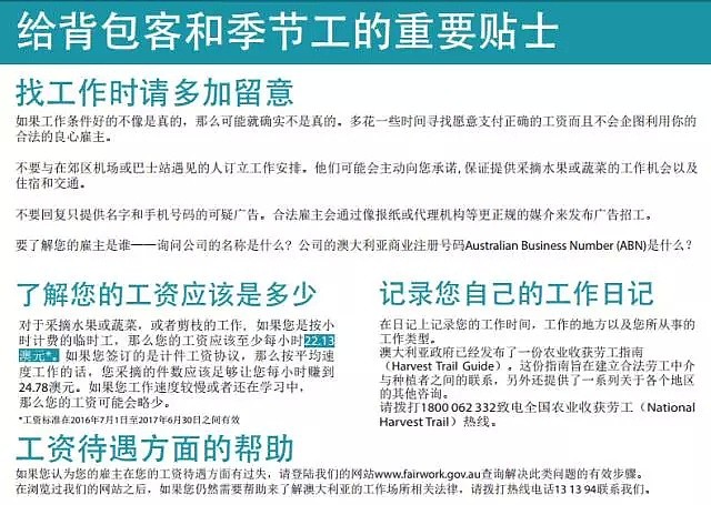 别拦我！我要辞职去澳大利亚摘水果！一天就1000进账，政府还倒贴你钱…（组图） - 6