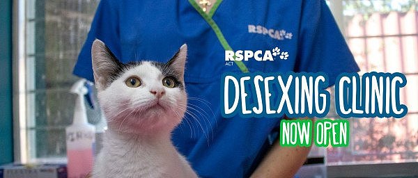 RSPCA-ACT_Desexing-Clinic_webbanner-home.jpg,0