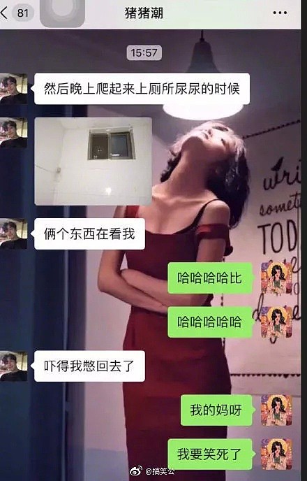 【爆笑】“半夜起来上厕所，发现有人在窗户偷看…”仔细一瞧才发现，哈哈哈哈哈哈哈哈（组图） - 1