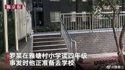 惨！惨！9岁男孩被活活打死，多人围观却无人相救！妈妈已精神崩溃...围观者，每一个都是帮凶！ - 8