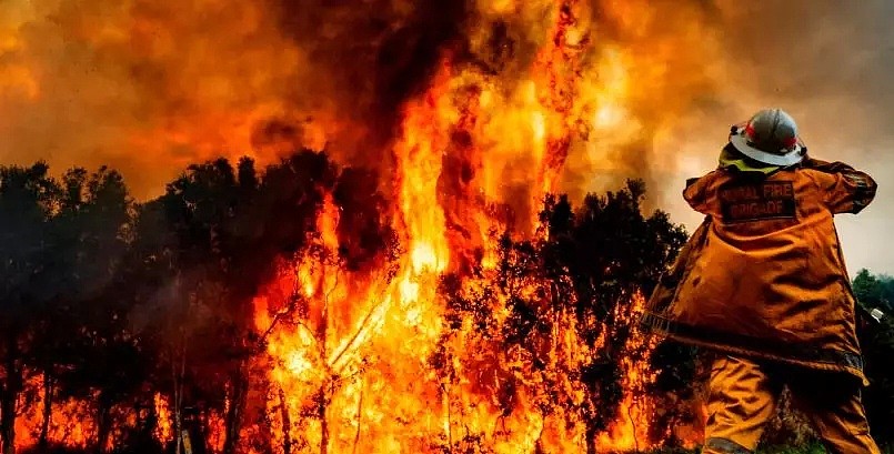 注意！包括布里斯班在内的昆州42个地区宣布进入紧急状态，禁止所有户外明火（组图） - 8