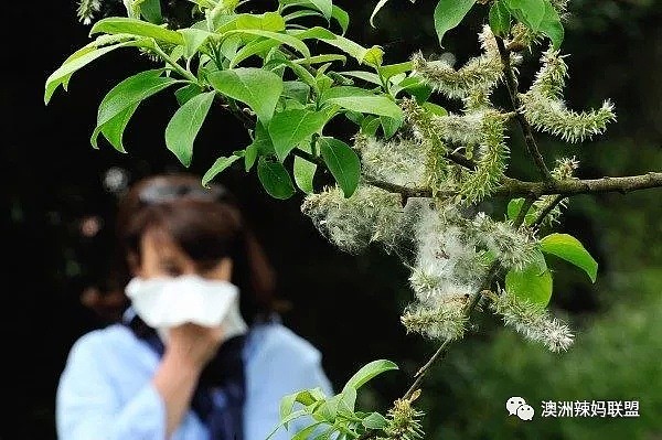 花粉症、湿疹到底有没有解药？这是我听到最好的回答 - 19