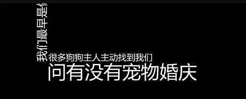 花8万给狗狗举办婚礼，网友：还是吃得太饱了