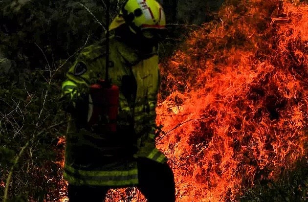 失控！越来越近！大悉尼被火包围！多人死亡！灾难级预警发布！居民随时准备撤离，学校停课，空气重度污染！ - 78