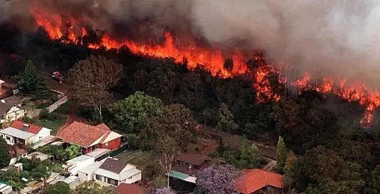 面对灾难级山火， 你和家人应该怎么做？山火生存指南必须掌握（组图） - 2