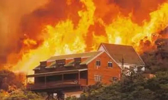 面对灾难级山火， 你和家人应该怎么做？山火生存指南必须掌握（组图） - 4