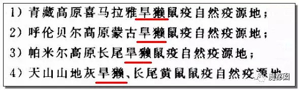 北京确诊两例鼠疫！过往那些恶心恐怖的病例和这些事实，必须要和大家说说了...（组图） - 45