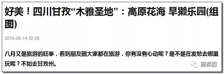 北京确诊两例鼠疫！过往那些恶心恐怖的病例和这些事实，必须要和大家说说了...（组图） - 49