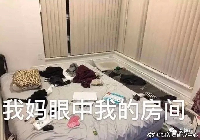 【爆笑】马思纯被胡歌怒挂电话？哈哈哈网友：这次我站马思纯（组图/视频） - 14