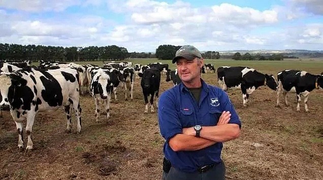 “昆州牛奶也许会从超市下架消失！”澳政府欲挽救乳业，却反把奶农们送上“绝路”！奶农处境艰难，涨价杯水车薪 - 7