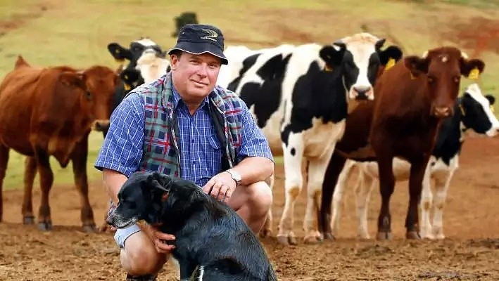 “昆州牛奶也许会从超市下架消失！”澳政府欲挽救乳业，却反把奶农们送上“绝路”！奶农处境艰难，涨价杯水车薪 - 8