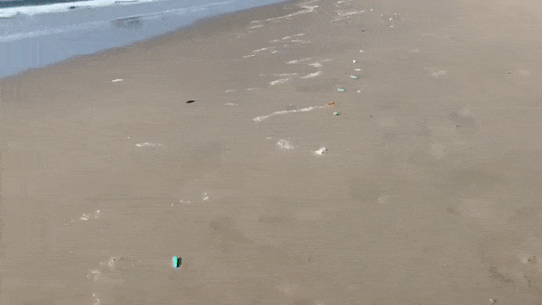 惊了！数百根针头注射器被冲上洛杉矶海滩，来源细思极恐！（组图） - 5