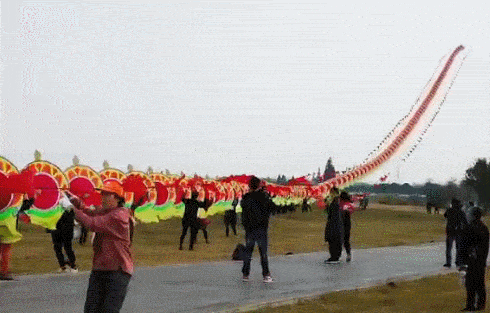 杭州有人放飞巨龙风筝，多名成年男子被带离地面！最后惊险一幕：挂上了高压线（视频/组图） - 4