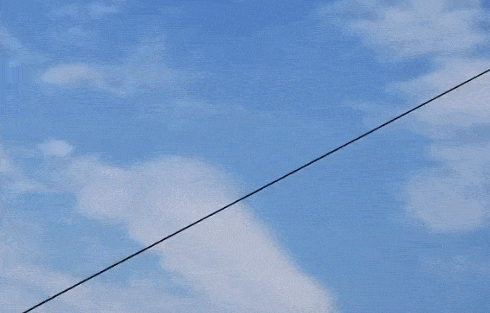 杭州有人放飞巨龙风筝，多名成年男子被带离地面！最后惊险一幕：挂上了高压线（视频/组图） - 6