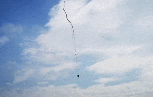 杭州有人放飞巨龙风筝，多名成年男子被带离地面！最后惊险一幕：挂上了高压线（视频/组图） - 8