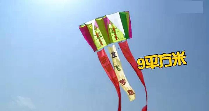 杭州有人放飞巨龙风筝，多名成年男子被带离地面！最后惊险一幕：挂上了高压线（视频/组图） - 14