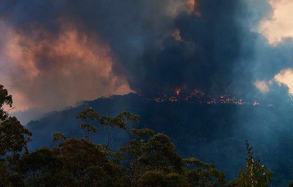 注意！悉尼西北部山火失控，当地民众被要求立即撤离！浓烟随风飘至City，空气质量急剧恶化！（视频/组图） - 6