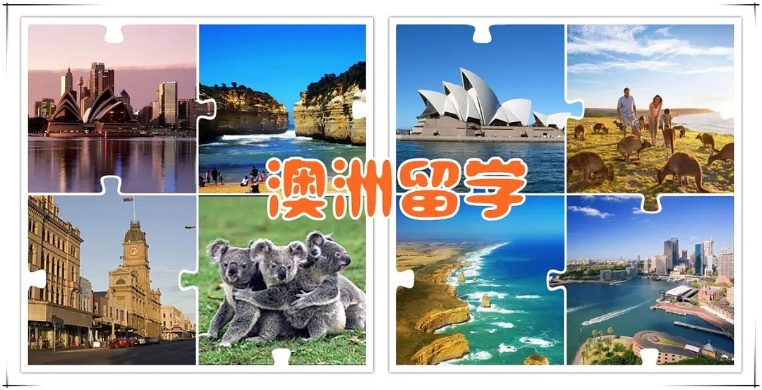 中国留学申请下滑 澳洲留学产业迫入拐点？ - 1