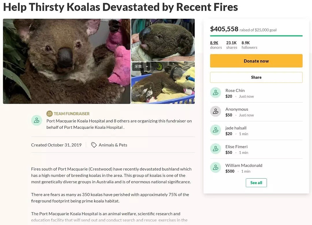 澳洲人民持续向林火受灾方捐款，考拉收到的捐助比人还多 - 2