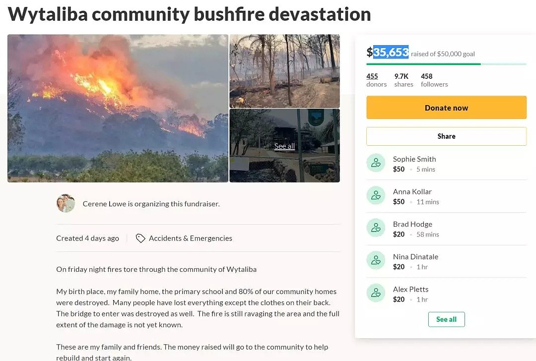 澳洲人民持续向林火受灾方捐款，考拉收到的捐助比人还多 - 3