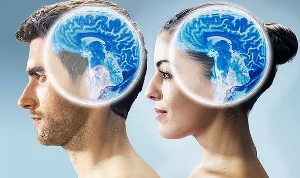 你的大脑是男是女？剑桥研究证明：男性大脑挣钱多，女性大脑爱唠嗑 - 3