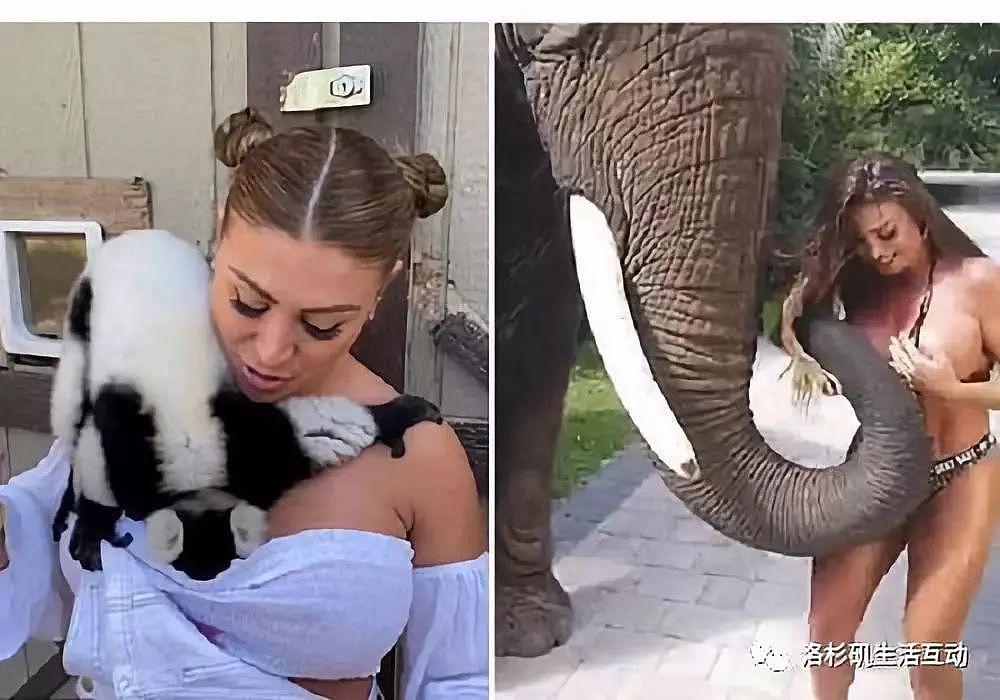 女模滥用乳房猥亵狐猴大象 动保团体怒了（视频/图） - 1