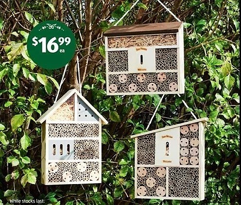 澳Aldi推特价蜜蜂小屋，售价仅为$16.99 - 2