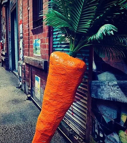 据说墨尔本这颗神奇胡萝卜，能让看到人的都笑起来 - 2