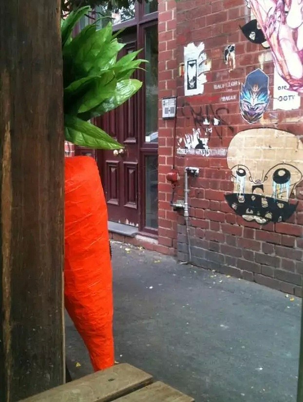 据说墨尔本这颗神奇胡萝卜，能让看到人的都笑起来 - 35