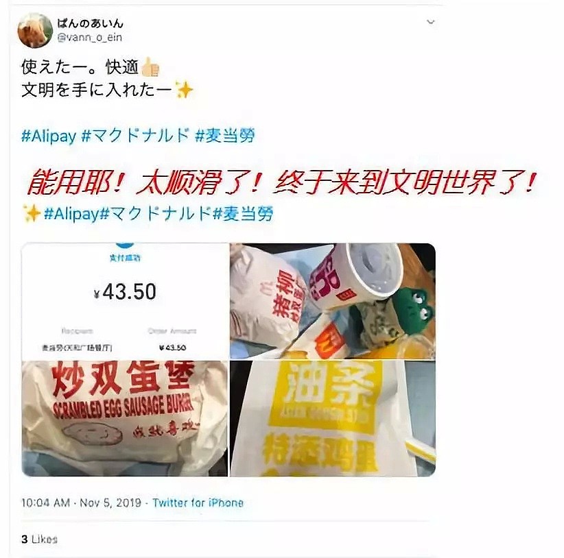 老外们晒出自己来中国的一天，刷屏外网：“太神奇了！眼一眨，钱没了…”（组图） - 12