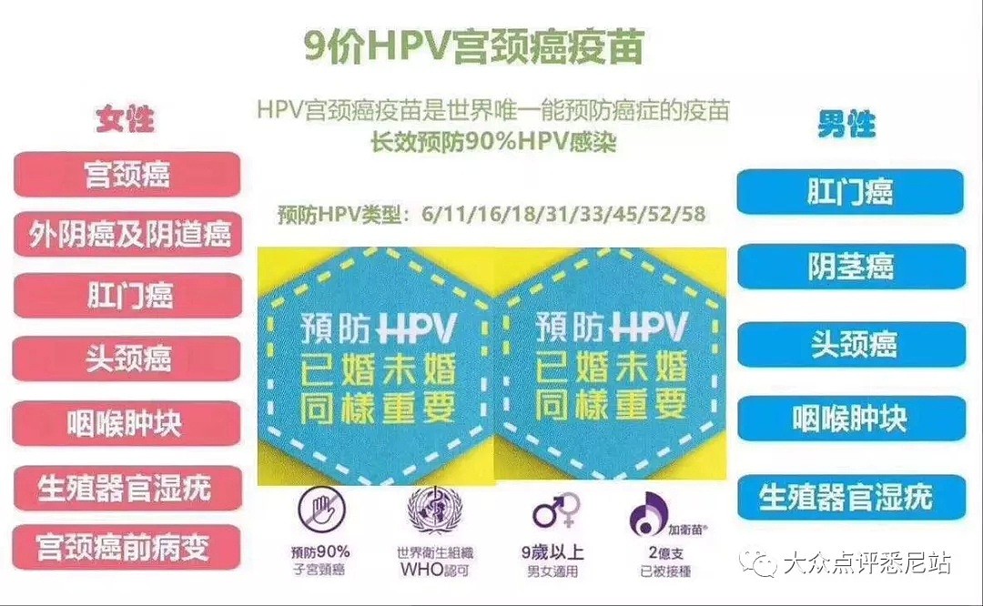 澳洲HPV科普+全攻略！不摇号，无假货！一针难求疫苗轻松拥有（组图） - 7