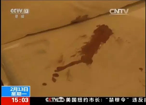 中国交换生开学第一天就离奇失踪，3个月后尸体才被发现...（组图） - 19